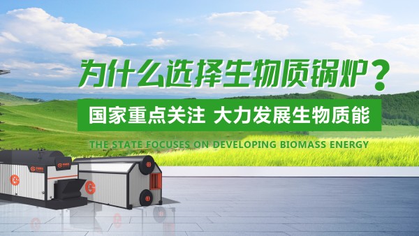 南宫NG28生物质锅炉：绿色生长的“时代之选”