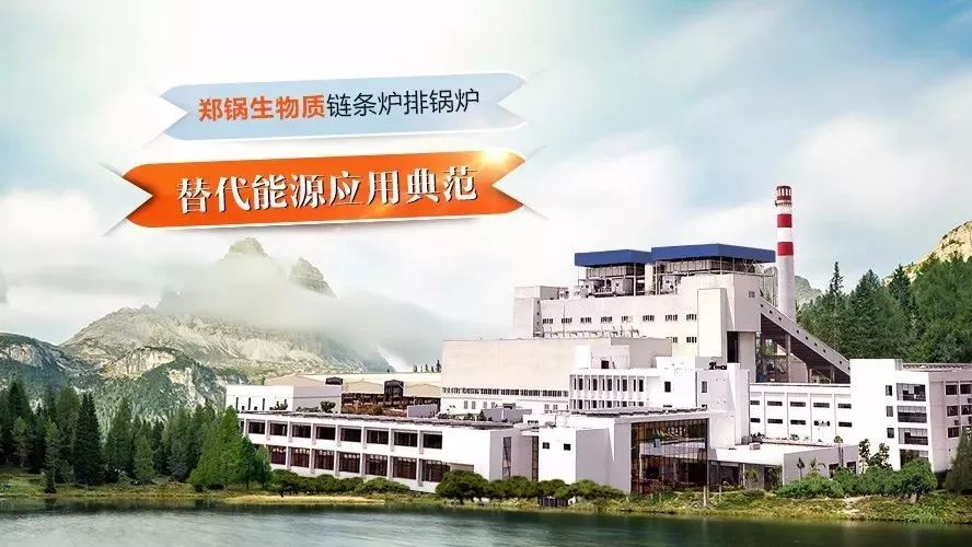 南宫NG28领衔体例行业手艺标准，，，首次统一生物质链条炉排锅炉手艺条件！