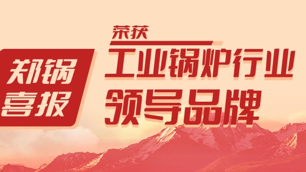 南宫NG28股份荣获“工业锅炉行业向导品牌”和“出口创汇先进企业”等声誉
