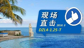 现场直击丨看生物质锅炉在巴厘岛怎样强操作，，，转头客非它不选